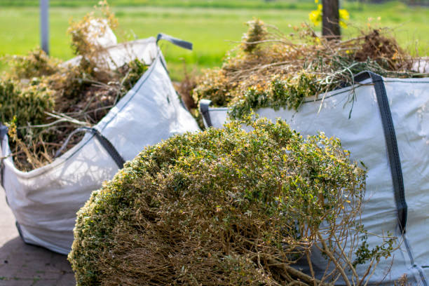 Best Local Junk Hauling  in Bolivar, OH